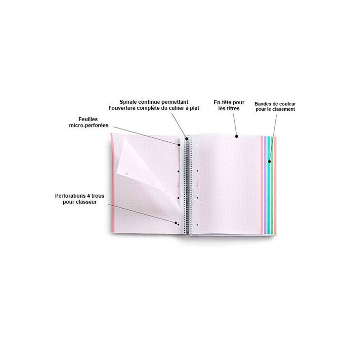 Cahier - A4 (21x29,7cm) - Petits carreaux - 120 pages - couverture en carton violet - à spirale - Notebook Miquelrius