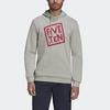 Adidas Sweatshirts Men's Metallic Gray Hooded Moderate Regular FT2933