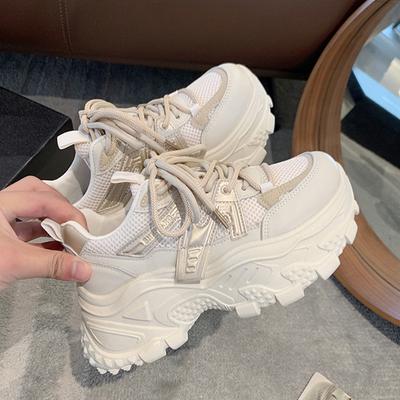 Leather Dad Shoes Women's Spring New Mesh Muffin Thick Sole Heightening Casual Sports Shoes Small Women's Shoes