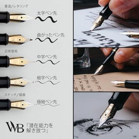 Wordsworth Black Fountain Pen Set Medium Nib 24 Ink Cartridges Refill Converter Included Gift Case Diary Calligraphy Smooth Writing Brown Gold Unisex