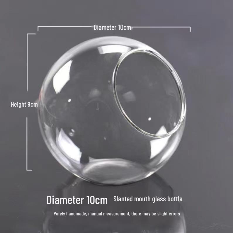 Transparent Slanted Glass Vase for Succulents and Hydroponic Flowers