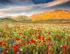 RUOPOTY Digital Painting Flower Sea Hand-Painted Wall Art Painting Unique Gifts On Canvas Sunset Pictures Home Decoration