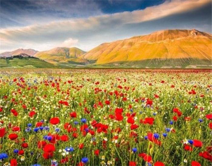 RUOPOTY Digital Painting Flower Sea Hand-Painted Wall Art Painting Unique Gifts On Canvas Sunset Pictures Home Decoration