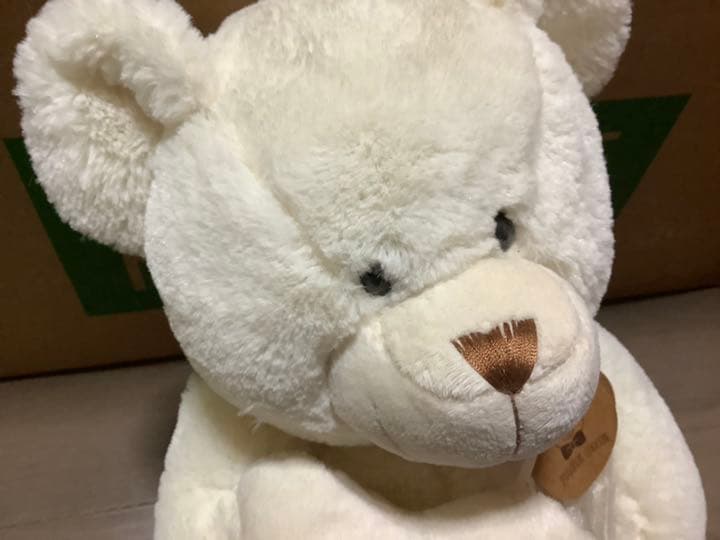 [USED] Page One Teddy Bear Plush Toy