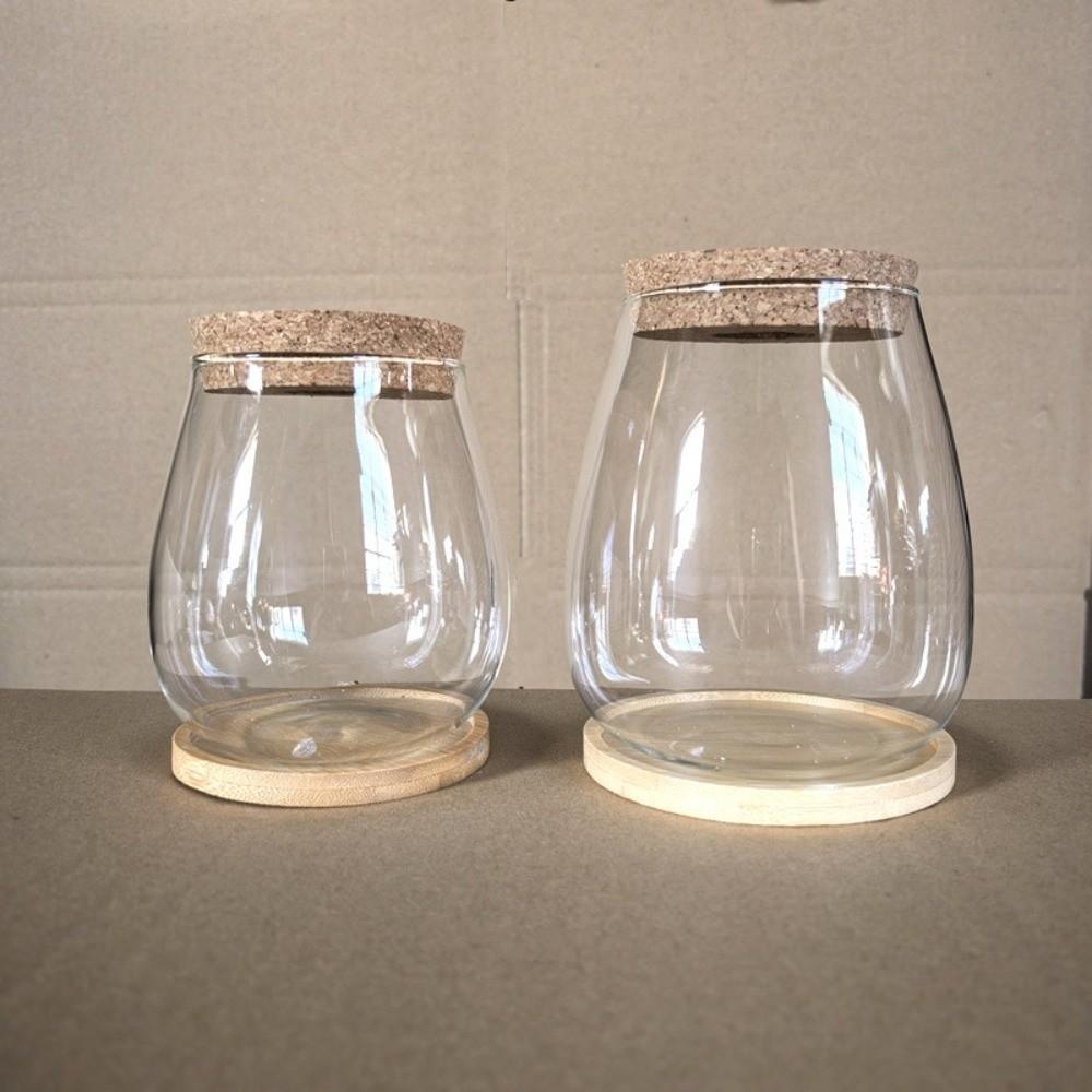 Transparent Tabletop Plant Vase with Wooden Tray Mini Terrarium Glass Planter  Botanical Display