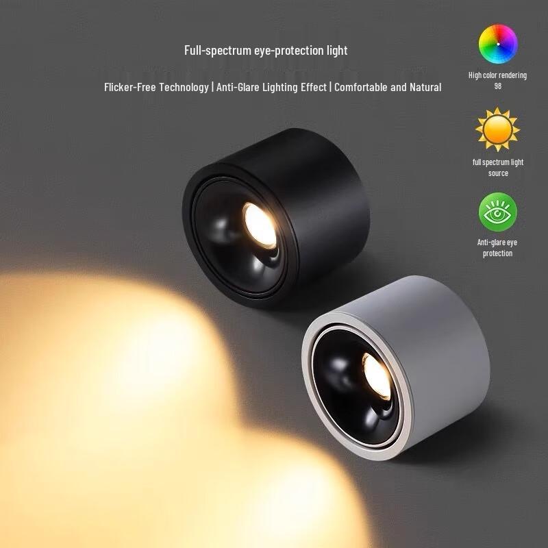 Adjustable LED Downlight