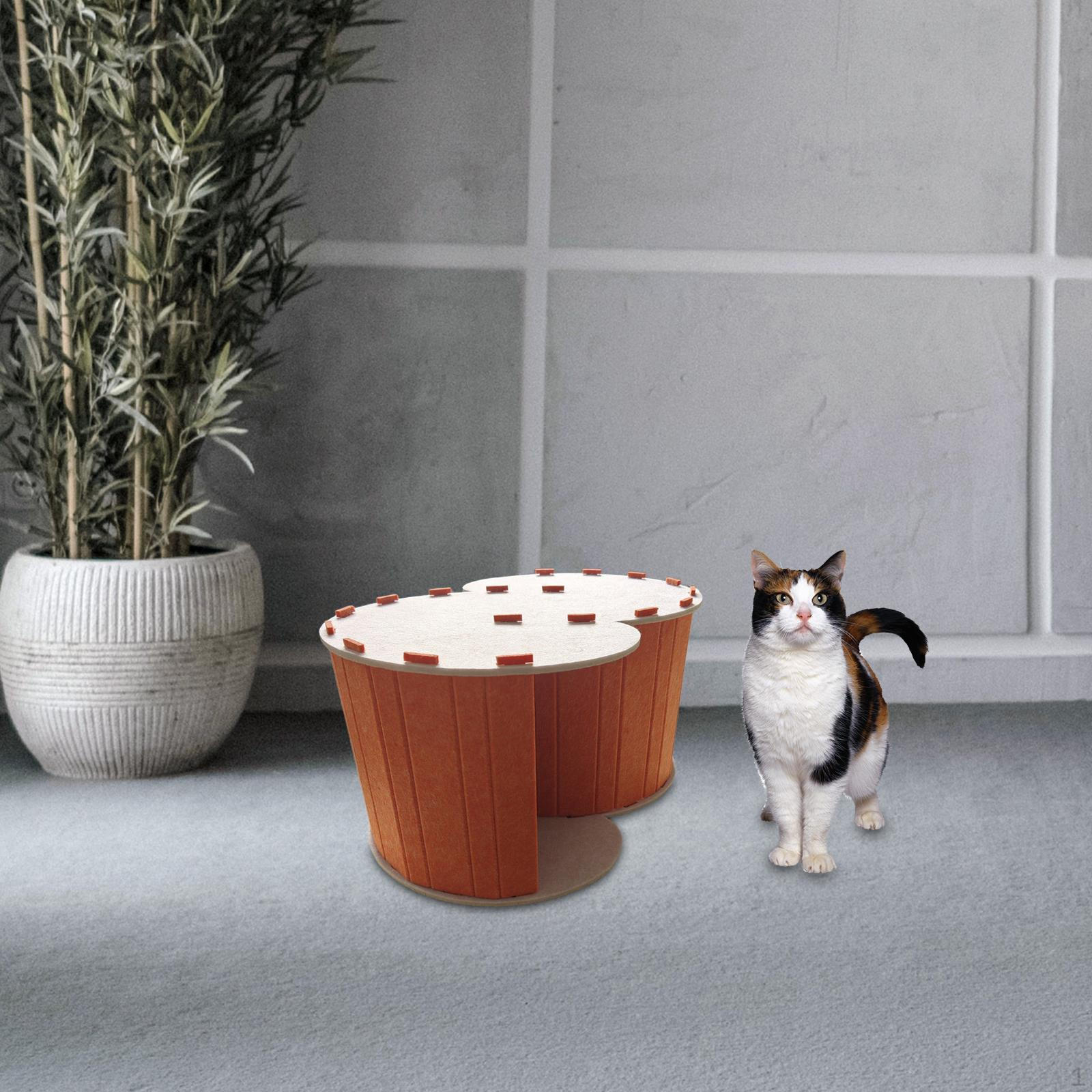 

Кошачий домик с туннелем и лежанкой, складной домик для котят XL