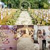 1000 pcs/pack of artificial rose petals | Wedding roses, engagement/proposal roses, and Valentine's Day artificial rose petals