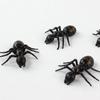 10 Stück Kreative Scherzartikel für den 1. April Gruselige Spoof Interaktionsspielzeuge Neuheit Halloween Fake Riesenameisen-Spielzeug Lustiges Realistisches Scherz-Insektenmodell