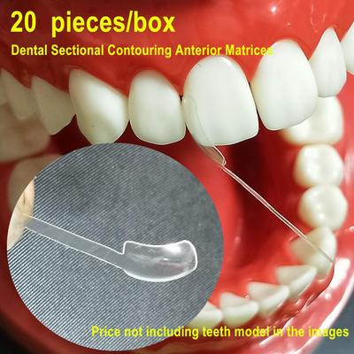 Matrice sagomata sezionale dentale Matrice anteriore prossimale trasparente Strisce dentali Matrici cervicali Materiale per dentisti
