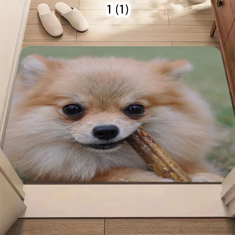 Adorable Pomeranian Door Mat Cute Animal Pattern Soft Non-Slip Entryway Rug for Front Door Living Room Hallway Floor Decor