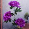 Peony Flower Fake Flower Living Room Bedroom Decoration Large Flower Shopping Mall Lobby