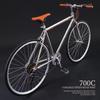 Chuanqin Retro Road Bike