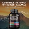 SHILAJIT, brain supplement, clear brain fog, clear thinking, improve brain function, Suitable for adults, teenagers and seniors