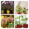 Reliably Pack of 20 Multi Use Indoor Outdoor Plant Sticks Bendable Flower Supports 16inch in Green Color Versatile