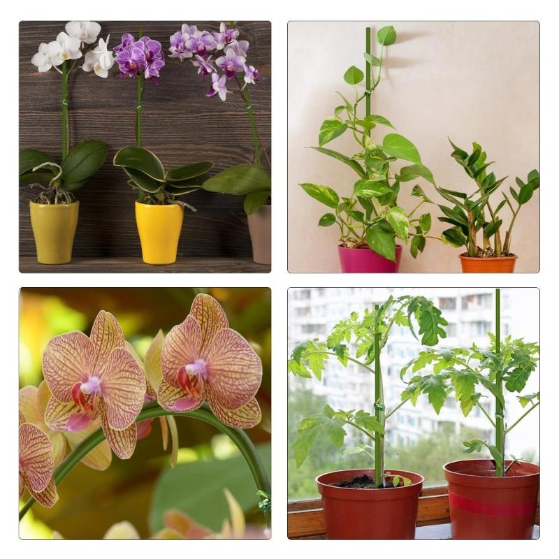 Reliably Pack of 20 Multi Use Indoor Outdoor Plant Sticks Bendable Flower Supports 16inch in Green Color Versatile