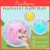 Transparenter Plastik-Hamsterball mit Belüftung zum Laufen und Trainieren Großes Spielzeug