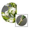 5 Stück/Bund Seidenblütenblätter Simulation Blumenstrauß Simulation Narzissenblüte Heimdekoration