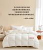 Yufan Realm Thickened Warm and Lightweight Winter Quilt Air Velvet Down Winter Quilt Double Five Star Hotel Quilt Core Spring and Autumn