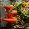 3D Printed Three Layer Mushroom Rack No-Drill Jumping Spider Platform  Terrarium