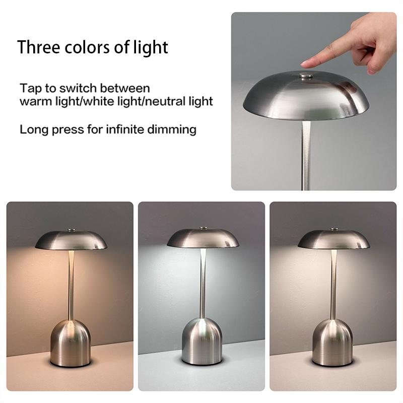 Minimalist Metal Decorative Lamp LED Night Light Ambient Lamp Rechargeable Touch-Control Table Lamp For Restaurants Bars Hotels