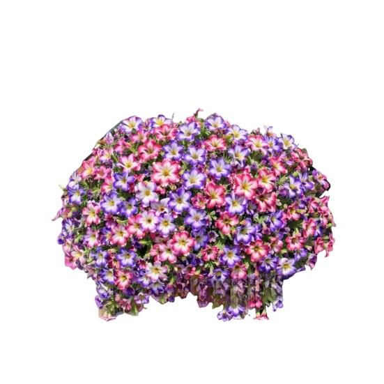 UV Resistant Artificial Petunias Flowers Outdoor Fake Flowers for Patio Porch
