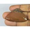 32X46X06MM Natural Honey Dendrite Fancy Shape Cabochon Loose Gemstone 62Cts. SK-3450