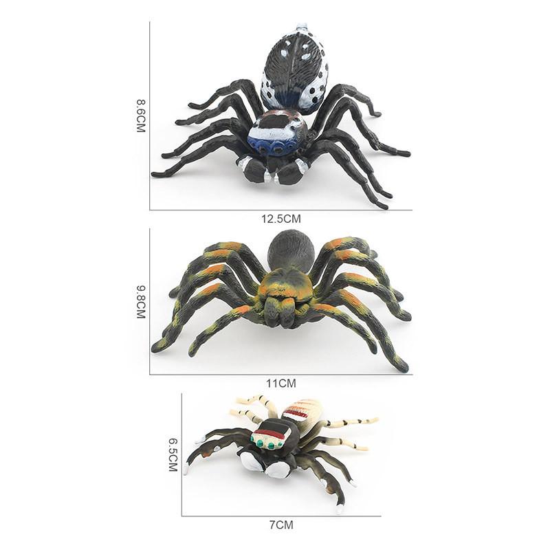 Stunningly Detailed Plastic Insect Models Including Vibrant Peacock Spiders And Striped Fly Spiders Perfect For Learning And Displaying
