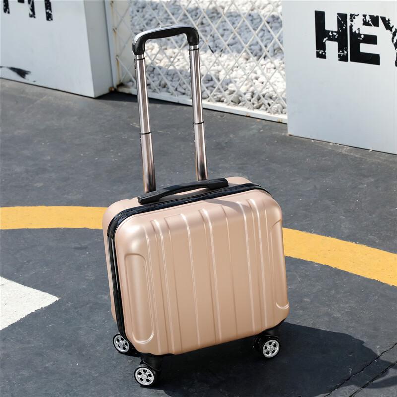 Li Shen Hard-Shell Spinner Carry-On Luggage