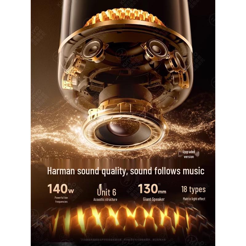 KINYO LP90 Glazed 6th Gen KTV Bluetooth Speaker CN Plug (adapter Included) (CN Version)