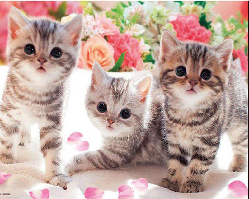 מקדחה מלאה ציור יהלומי מרובע חלום מנגרובים נוף תמונה של יהלומי ריינסטון רקמת זאב סוס בעל חיים תפר צלב דקור לבית