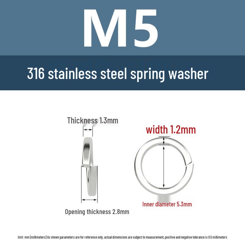 316 Stainless Steel M4-M16 Lock & Flat Spring Washers
