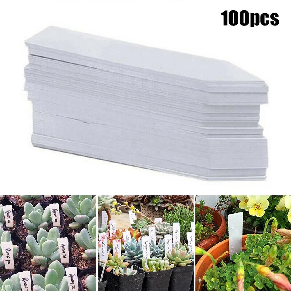 

100Pcs Plant Label White Waterproof Plastic Garden Labels Gardening Plant Labels Plant Tags Garden Matte Finish Easily Cleaned China Mainland