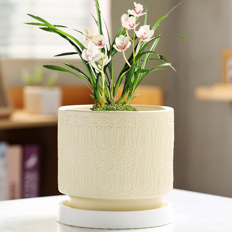 Set of 2 Simple Ceramic Water Drop Planters with Trays