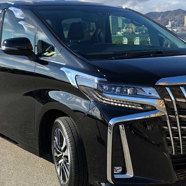 1 Pair of Headlight Eyelids for 2016-2020 Toyota Alphard Front Bumper