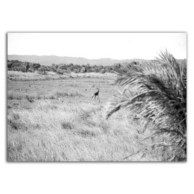 Bridge Poster Black And White Wall Art Print Nordic Wall Poster Landscape Modern Minimalist Wall Pictures For Living Room HD0091