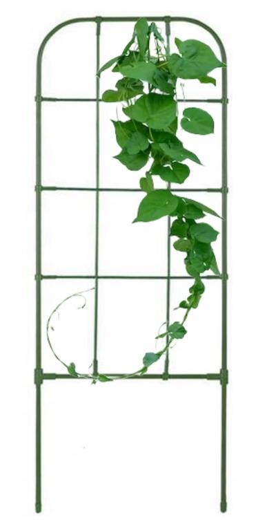 Climbing Plant Support