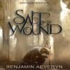 Salt In the Wound by Benjamin Aeveryn Hardback Book 9781739368036