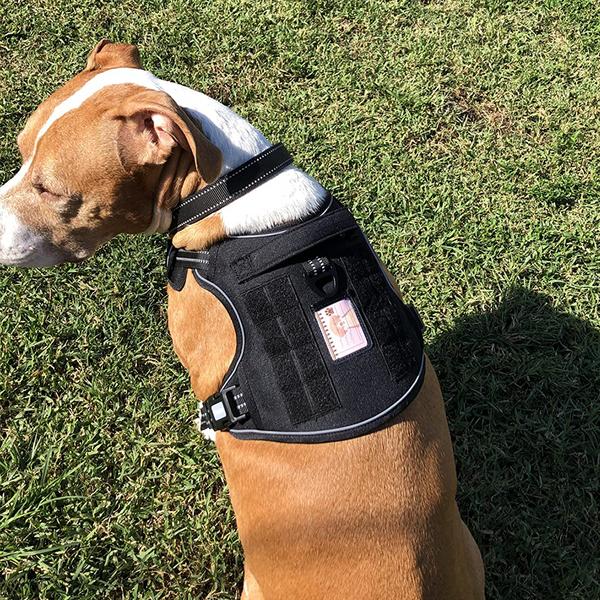 Dog's Lab Hundegeschirr für mittelgroße Hunde und große Hunde, Vorderhalsband zur Kippsicherung, Jindo Hund Retriever Brustgeschirr, schwarz