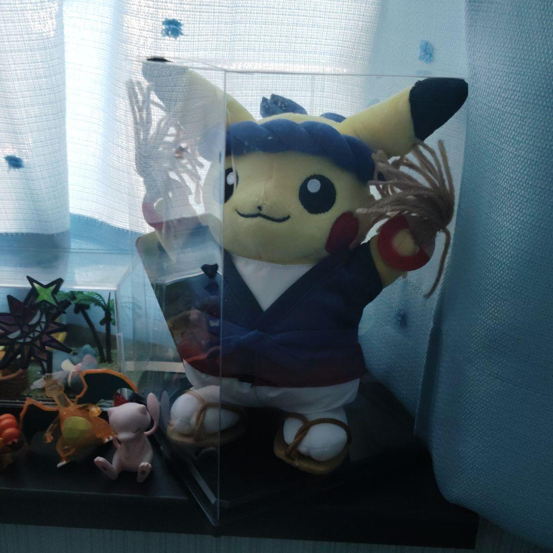 Pokemon Pikachu Plush Toy Warabi Festival Pretend Tohoku R