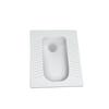 FEEGOO Concealed Ceramic Siphon Squat Toilet