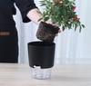 Self Watering Flower Pot Plastic Hydroponics Plants Pot Succulent Potted Planters Transparent Home Office Desktop Decoration