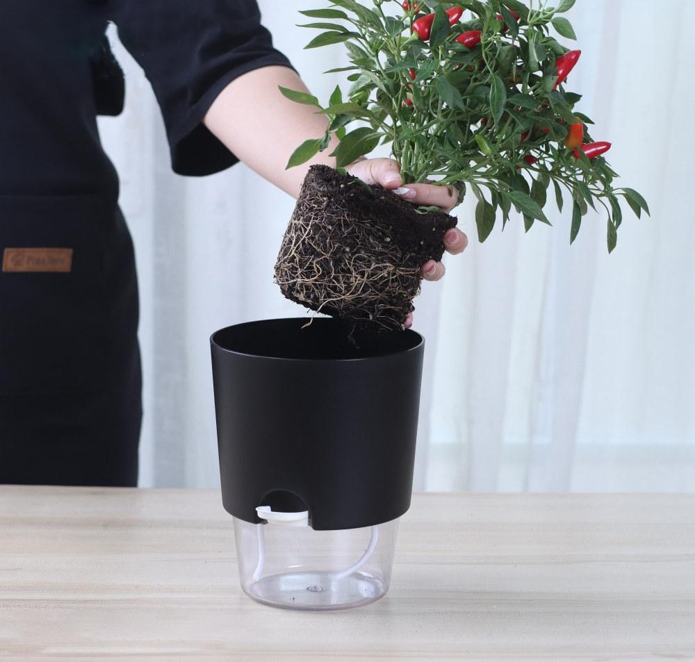 Self Watering Flower Pot Plastic Hydroponics Plants Pot Succulent Potted Planters Transparent Home Office Desktop Decoration