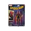 Hasbro Marvel Legends Series Spider-Shot Spider-Man Comics Sammlerstück 6 Zoll (15 cm) Actionfigur F9019, Authentisch