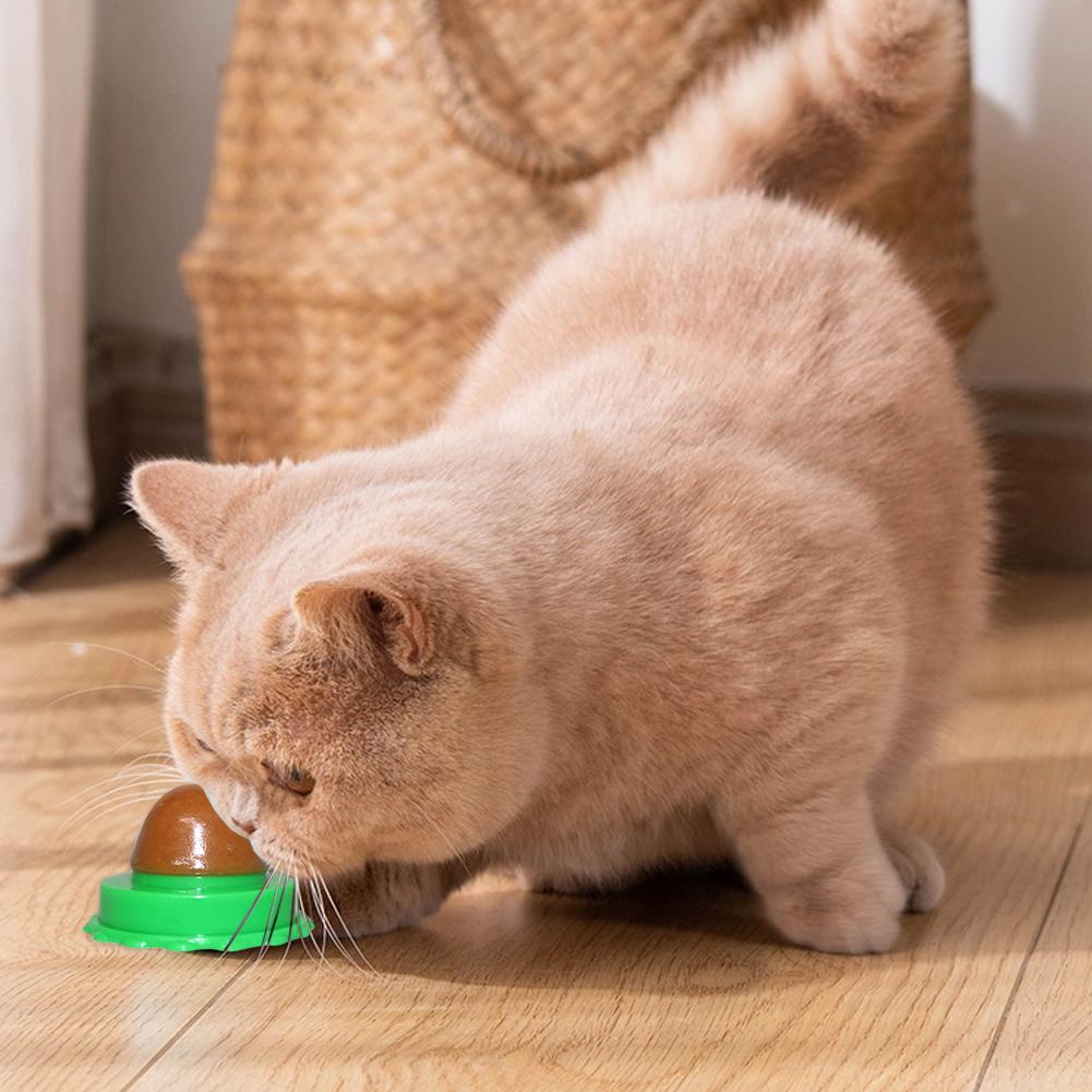 5/10Pcs Cat Nip Treats Lickable Pet Catnip Cat Sugar Ball Cat Snacks Candy Ball for Help Digestion