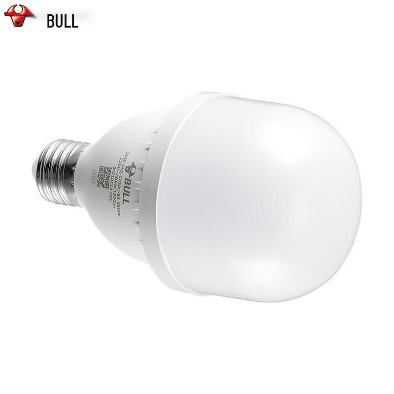 BULL E27 LED Industrial High Brightness Bulb