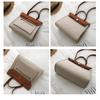 Moda Donna Piccole Borse a Tracolla in Tela Borse a Mano da Donna di Alta Qualità Borse a Spalla Lusso Designer Ladies Tote Borsa a Tracolla