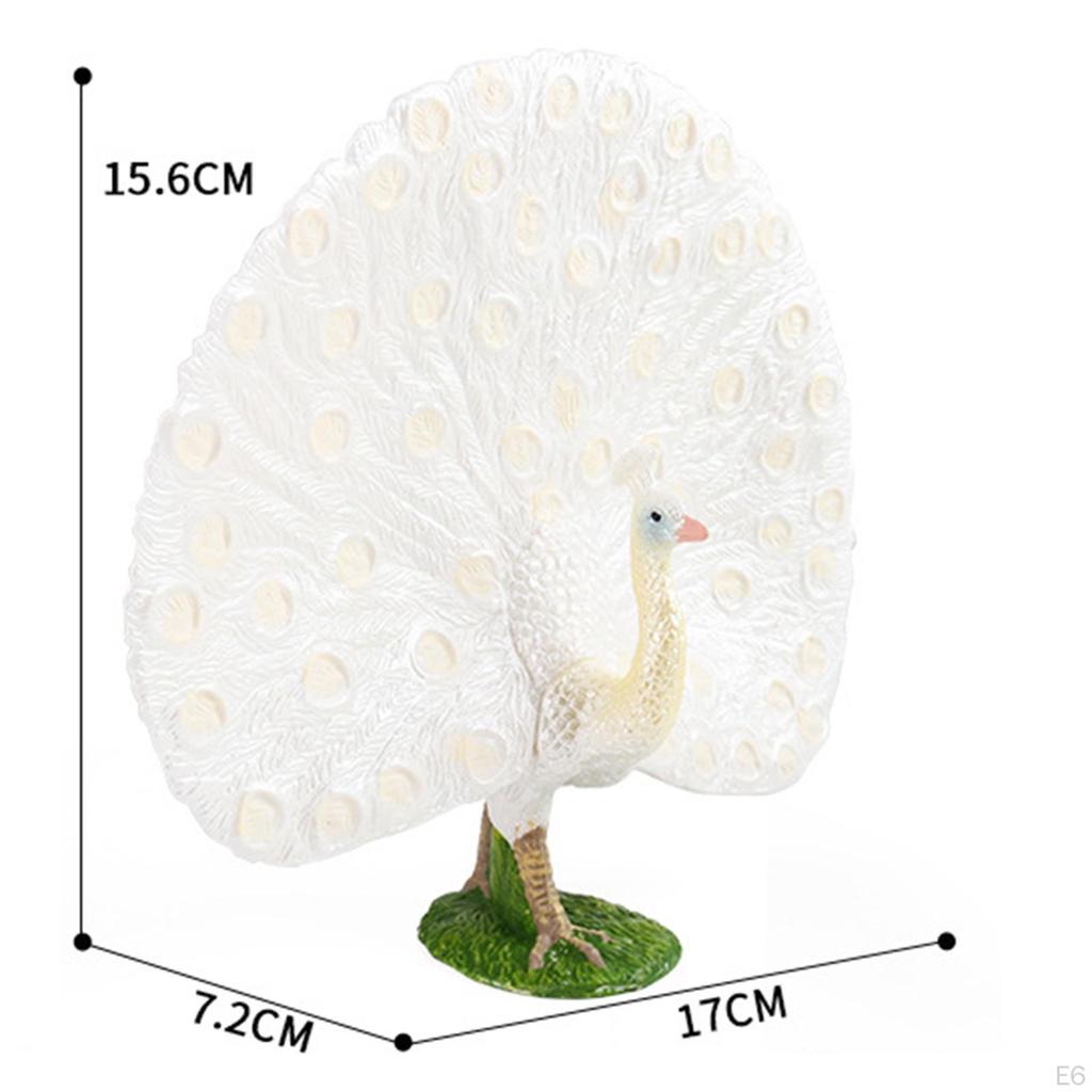 Animal Sculpture, Ornament Crafts, Kids Toy, Realistic Peacock Model, Hand Painted for Office,