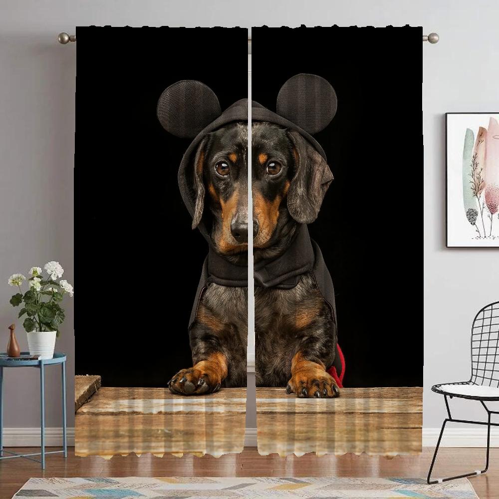 Dachshund Home Interior Curtains 2 Pieces Modern Living Room Curtains for Camera Tulle for Bedroom Blackout Curtain Shades Child