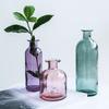 European Multicolor Vase Glass Flower Pot Basket Bottle Decoration Home Nordic Dry Transparent Hydroponic Small Bottle Gift